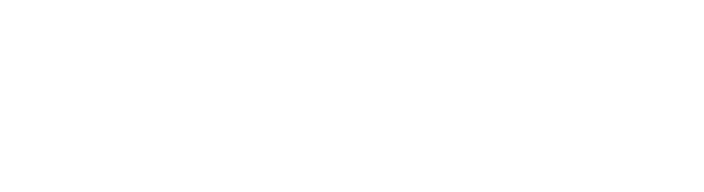 Lion Parcel